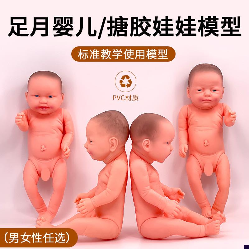 全软胶仿真娃娃婴儿月嫂家政培训宝宝F洗澡橡胶新生儿模型教具玩