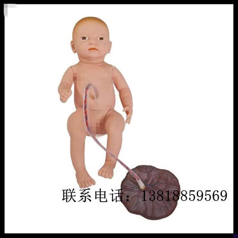 高级新生儿脐带胎盘护理模型 y妇产科训练模型 小孩模具 132