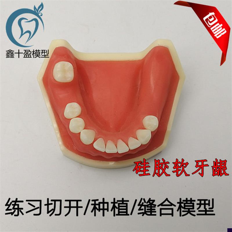 牙科口腔种植练习模型 学生u练习切开缝合种植模型 下颌种植2029