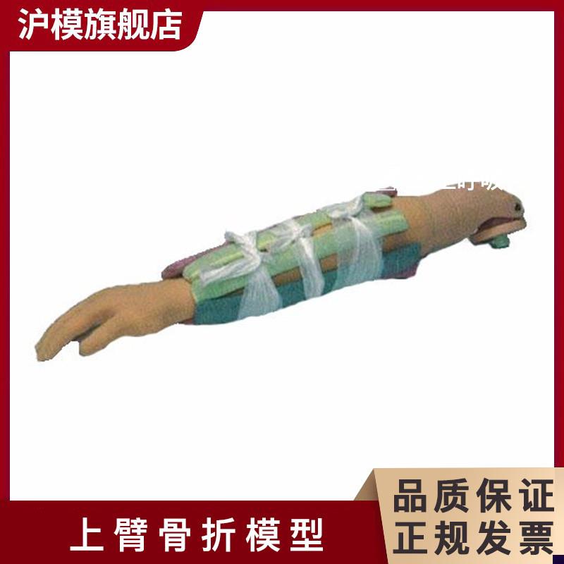 沪模HM/H340上臂骨折模型 r可用于手法复位及小夹板固定训练 上臂