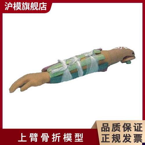沪模HM/H340上臂骨折模型 r可用于手法复位及小夹板固定训练 上臂