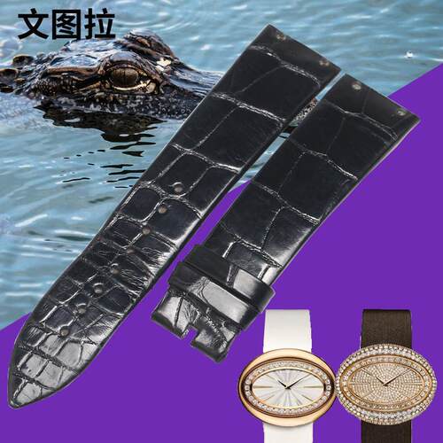 代用文图拉美洲鳄鱼皮代用伯爵LIMELIGHTMAGICHOUR绢丝真皮表带