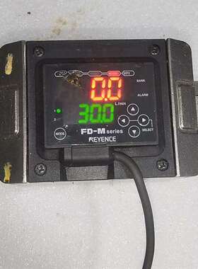 询价购-基恩士流量计FD-M100AYP