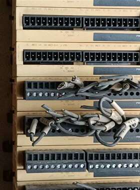 可维修-施耐德TM2AMM6HT PLC模块，拆机件，-议价