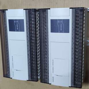 48T6 XD5 基本全新 议价 可维修 功 信捷Plc