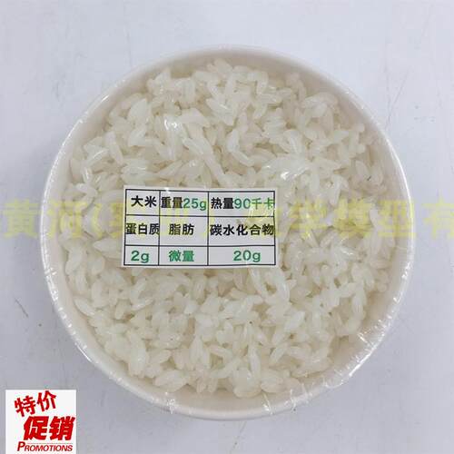 仿真食物模型大碗米饭儿童早教过家家玩具X橱窗摆设道具