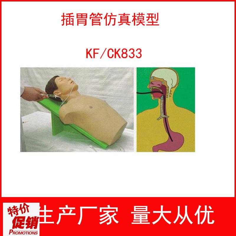 插胃管仿真e模型胃灌洗操作训练模型胃肠减压术胃液采集术模型