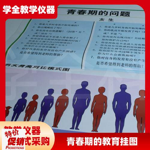 青春期教育挂图全套初中t生物教学挂图对开教学挂图高品质挂图