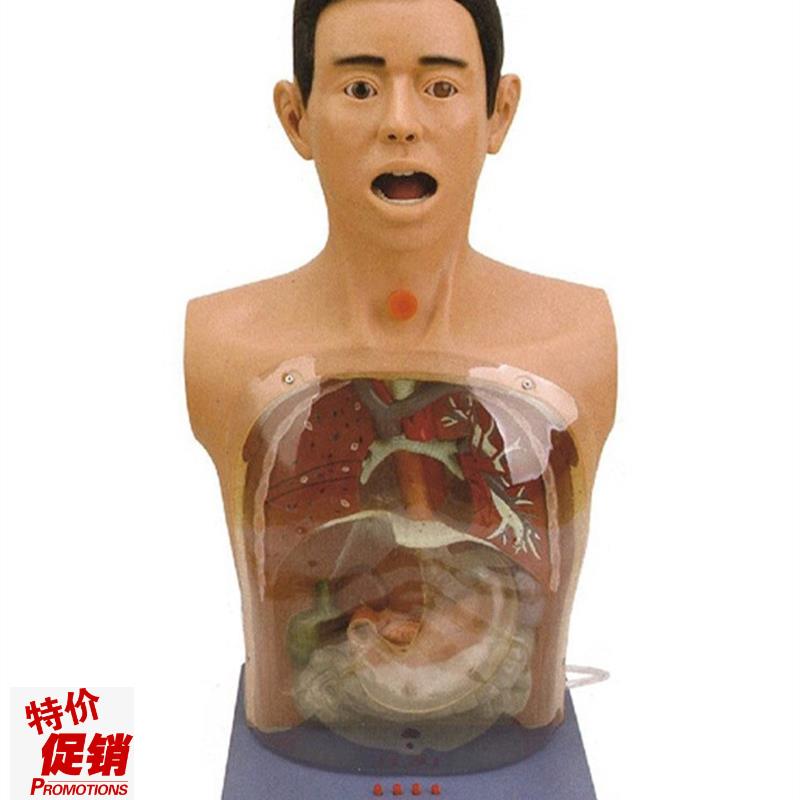 高级透明洗胃模型带警示w医学训练鼻饲气管切开护理教学模具