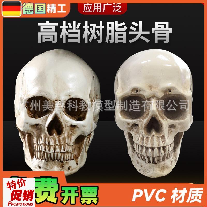 高仿真人头骨模型树脂骷s髅头艺术美术临摹专用标本人体头颅模型