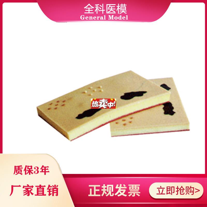 热销表皮常见j病表处理训练模块GM/W0010