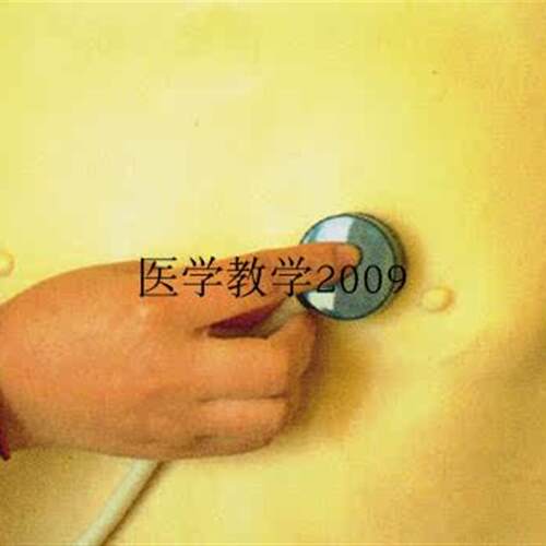 心肺听诊训练模型(背心式)背心式心肺H听诊训练服穿戴心肺听诊模