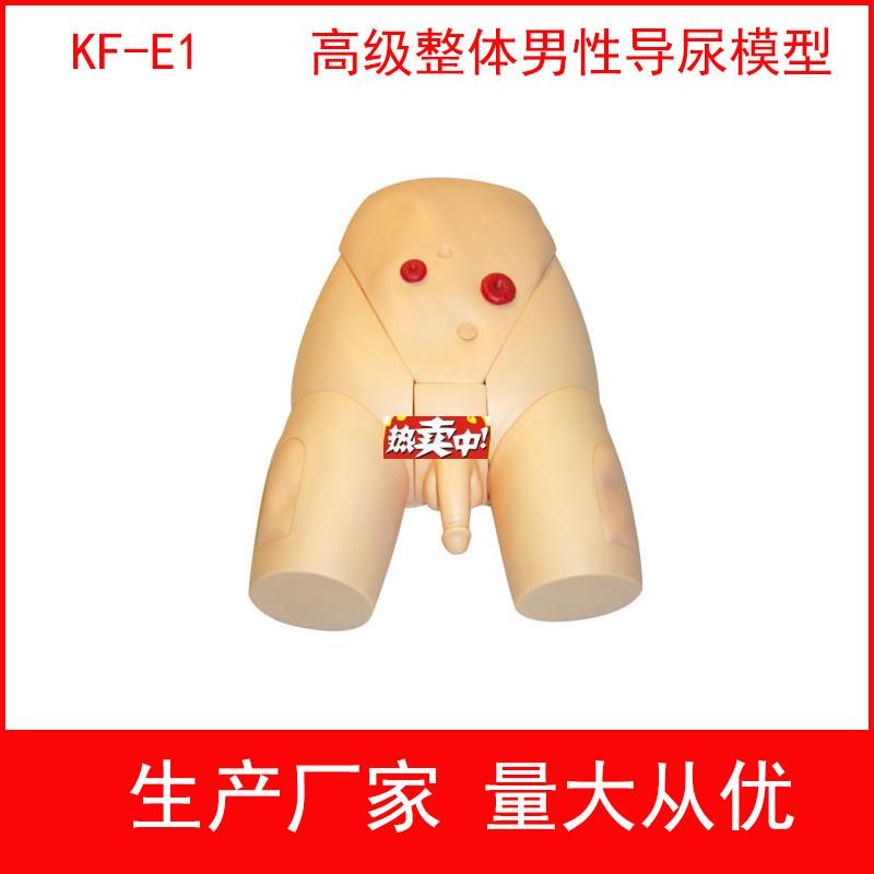 热销高级整体男女导尿模具,高级整体男性导尿模型W女性导尿训练模