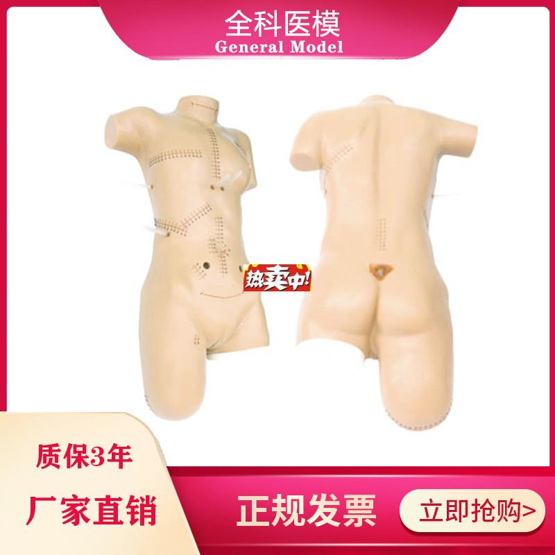 热销外科缝合包扎展示模型全n身外科清创切开缝合拆线换药操作训