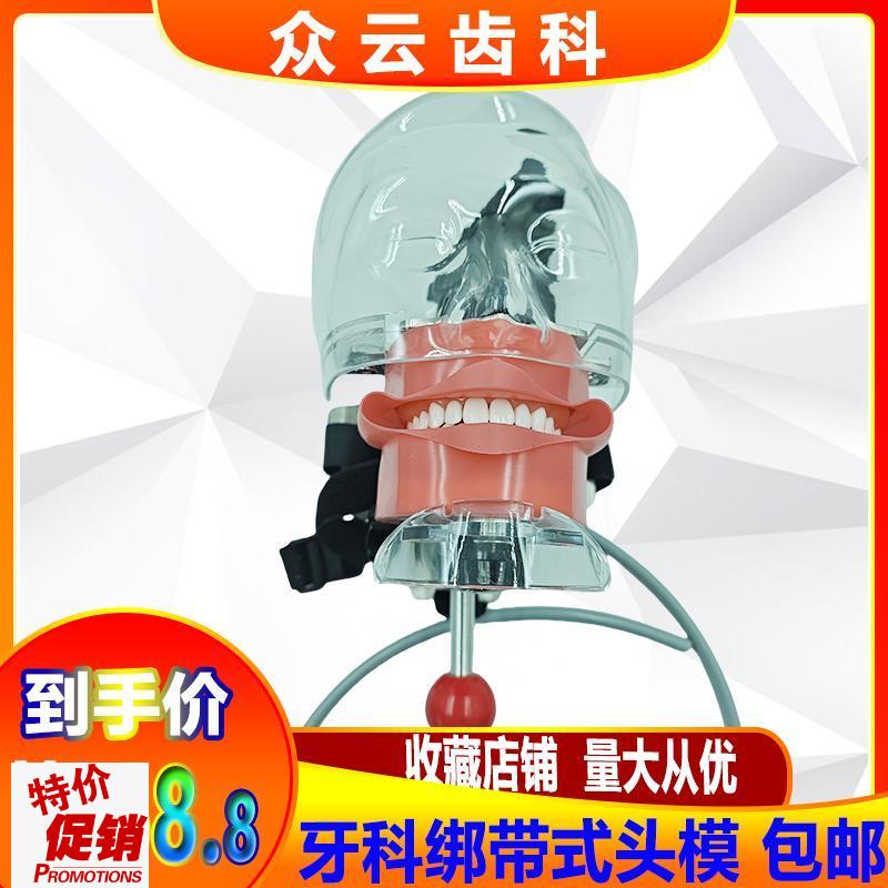 牙科口腔材料牙齿教学模型根管开髓牙备牙修复牙模型仿.真绑带头