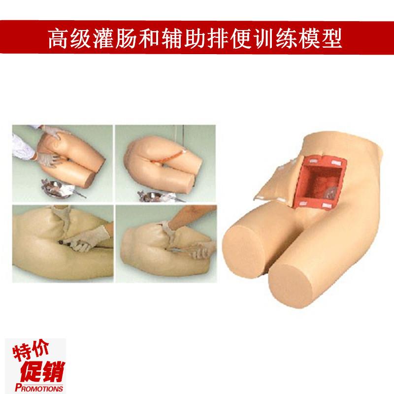 灌肠模型辅助排便和灌肠训练w习模型医学用灌肠排便教学模型人体