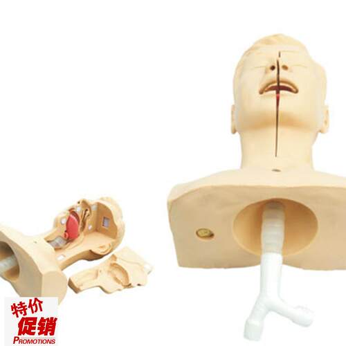 高级吸痰b练习模型鼻腔口腔插管吸引训练模型医学用操作教学模型