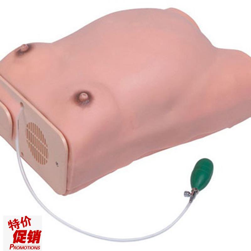 高级孕妇检查模型u妇科检查模具怀孕检查模型