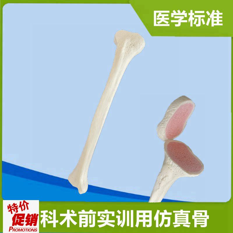 1比1胫骨模型骨科实训仿真骨y术前实操假骨头松质骨钻孔髓内钉练