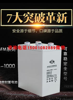 双登蓄电池GFM-200 2v300ah2v500ah2v600ah2v1000ah机房船舶基站