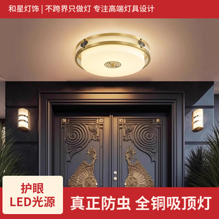 新中式大门口吸顶灯别墅入户灯门厅灯大门顶灯门楼庭院阳台照明灯