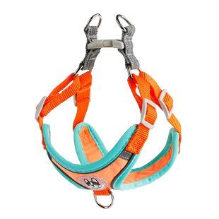 狗狗牵引绳小型犬泰迪比熊博美背心式胸背带小狗幼犬遛狗绳狗链子