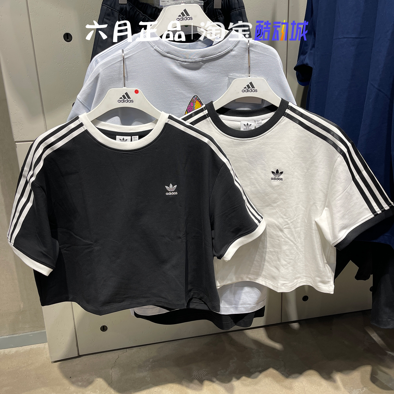 阿迪达斯女子短袖三条纹棉质半袖