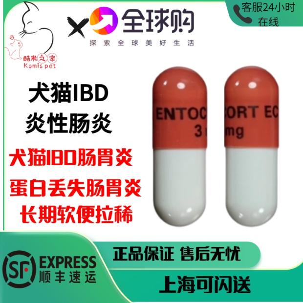 进口布地奈德Budesonide猫咪狗狗炎症性肠胃炎IBD呕吐腹泻脓便血
