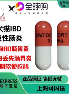 进口布地奈德Budesonide猫咪狗狗炎症性肠胃炎IBD呕吐腹泻脓便血
