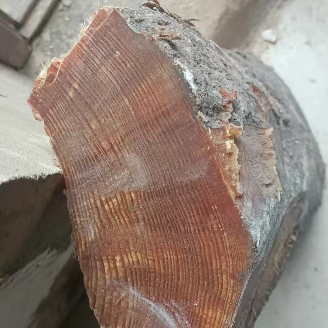 荒野求生松明子引火条松光引火神器户外烧烤炭生火露营篝火引火