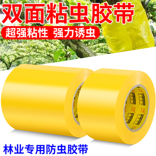 果树粘虫带专用的双面黄色黏虫带树木防虫胶带园林景观专用林业园