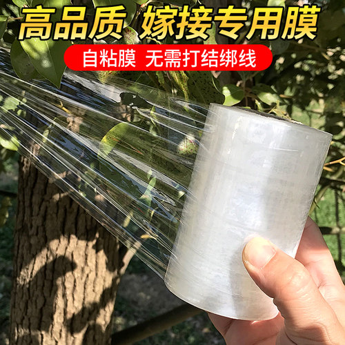 力桐树苗专用嫁接膜条免拆