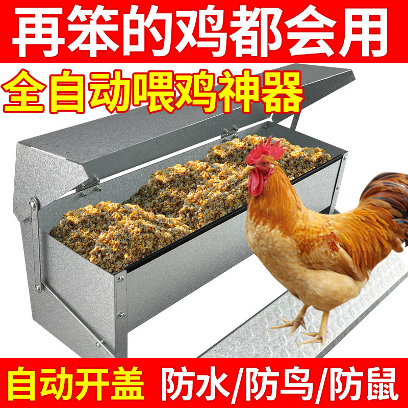 家用喂鸡食槽水槽一体防雨自动踏板鸡槽防鼠神器养鸡鸭鹅家禽喂食