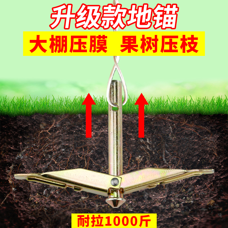 大棚地锚钉果树拉枝不锈钢倒刺压膜绳压膜带拉紧器大鹏地锚地毛钉