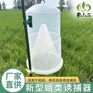 20根 二化螟昆虫信息素诱芯 性诱剂 引诱剂 诱虫芯  包邮