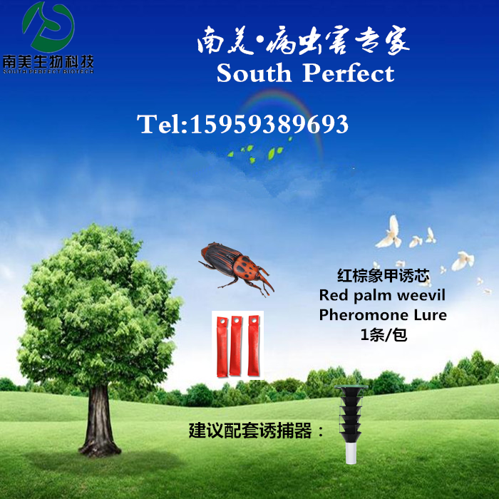红棕象甲信息素诱芯 性诱