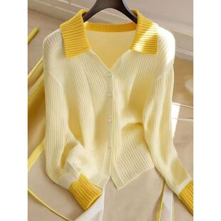 秋季新款韩系穿搭设计感小众毛衣开衫高级感超好看针织上衣女