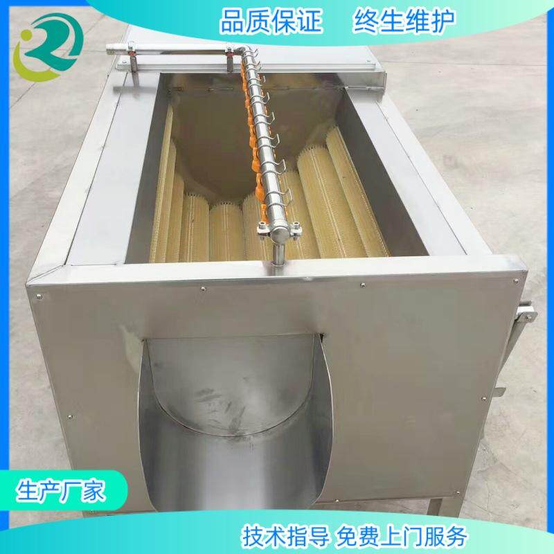 土豆莲藕山药毛辊清洗机白萝卜去泥加工清洗设备海鲜加工清洗设备