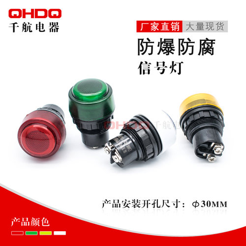 防爆防腐指示信号灯8030开孔30