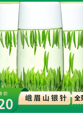 高山茶全芽芯根根竖立