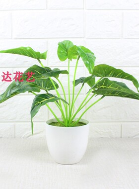 仙芋叶仿真绿色植物塑料花