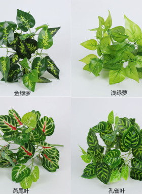 仿真室内背景墙装饰绿萝燕尾假花