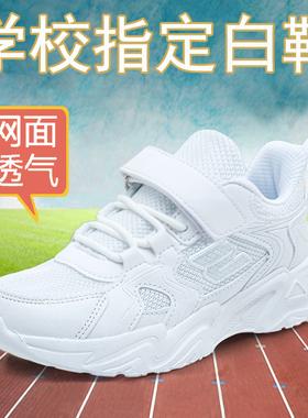 儿童白色运动鞋男童小白鞋学生网鞋夏季白波鞋女童白鞋中大童鞋子