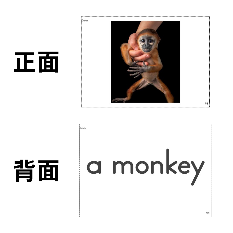 国家地理OurWorld幼儿儿童英语入门启蒙双面塑封闪卡片教具教学