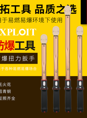 开拓防爆扭力扳手5-1000Nm铝青铜无火花防爆工具纯铜扭矩公斤扳手
