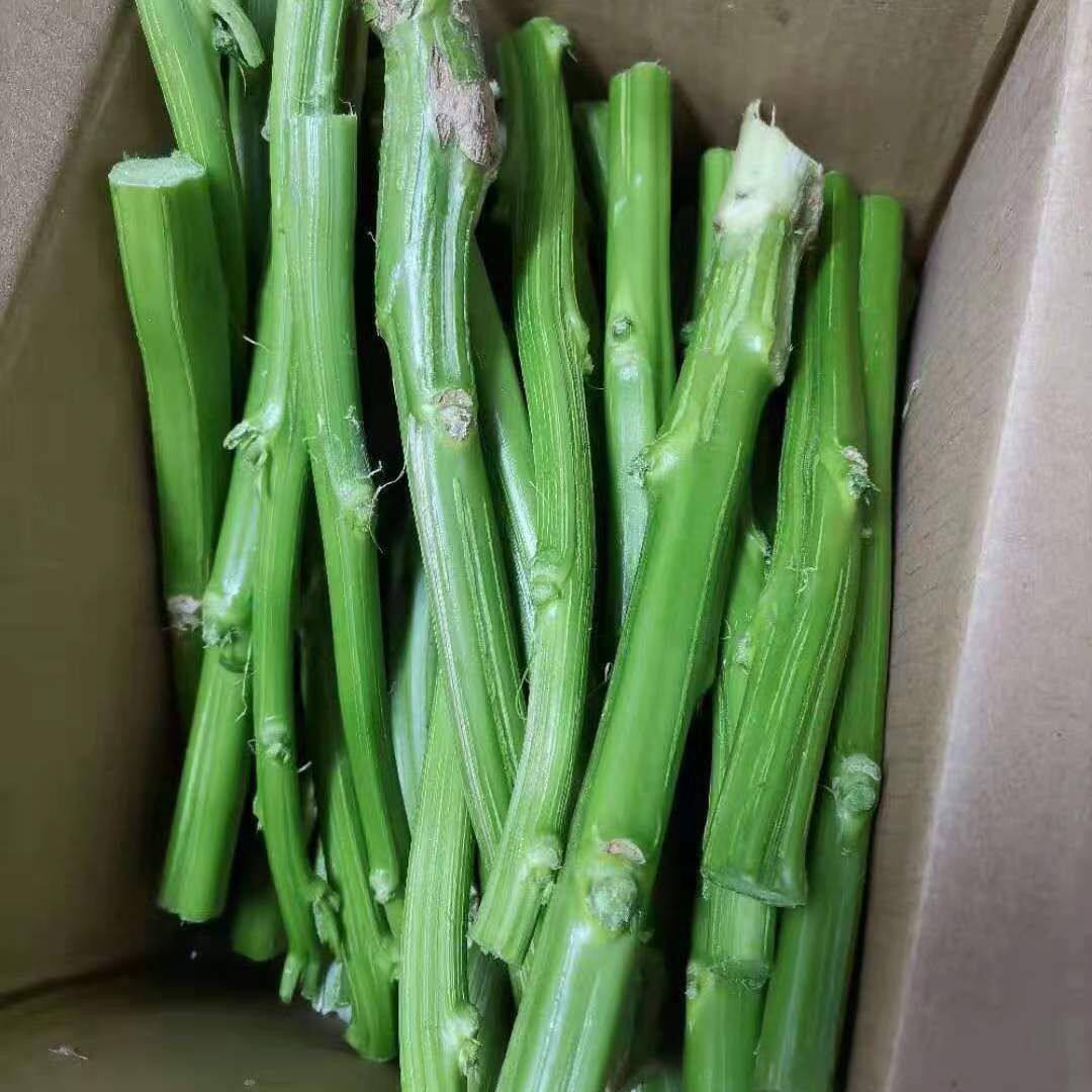 新鲜苋菜梗实芯鲜嫩绿苋菜杆子可以制作绍兴霉苋菜梗臭豆腐卤水