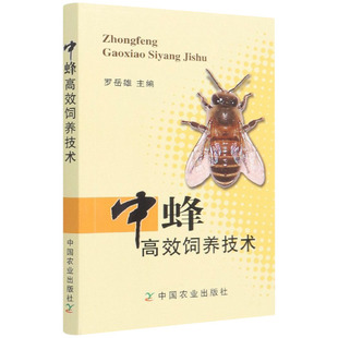 中蜂高效饲养技术 养蜂手册养殖技术图说养中蜂关键技术 蜜蜂养殖病防治技术 正版