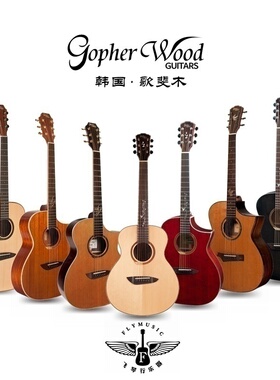 飞琴行 韩国 歌斐木Gopherwood G200 G420 620CE单板民谣吉他音柱