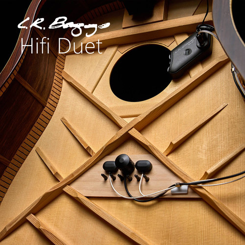 LRBaggs原声吉他拾音器