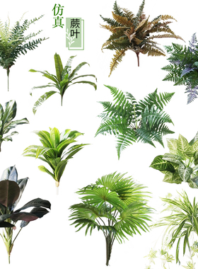 仿真蕨草假植物绿化工程万年青吊兰大号蕨叶波斯蕨排草花草装饰